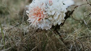 Nature, Flowers, Grass